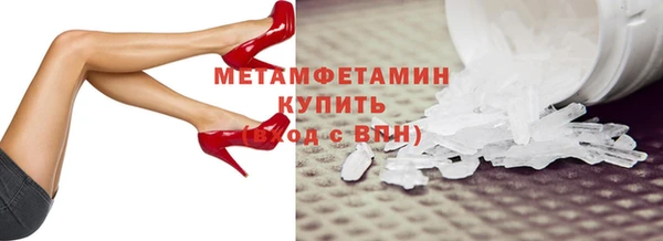 прущие грибы Наволоки
