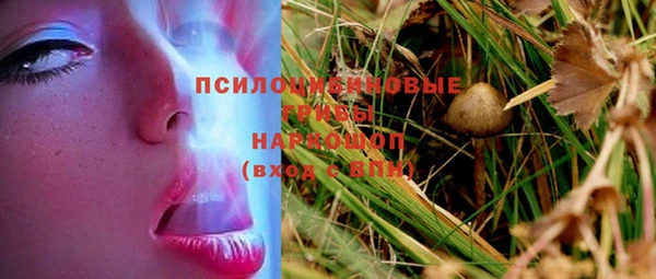 спиды Алзамай