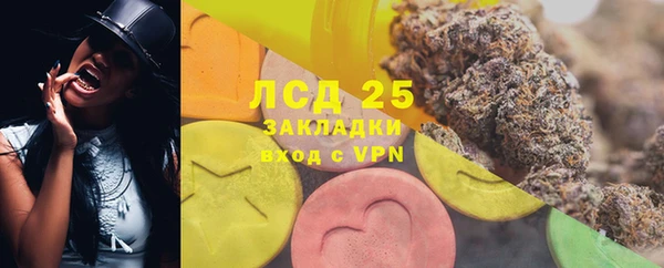 спиды Алзамай