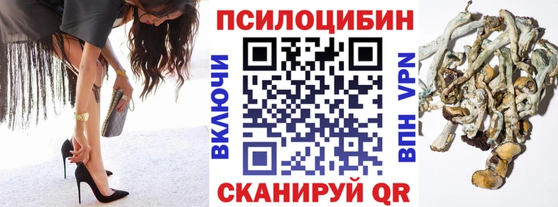 Галлюциногенные грибы Psilocybine cubensis  где купить наркотик  Рошаль 